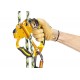 ASCENTREE Rope clamp PETZL