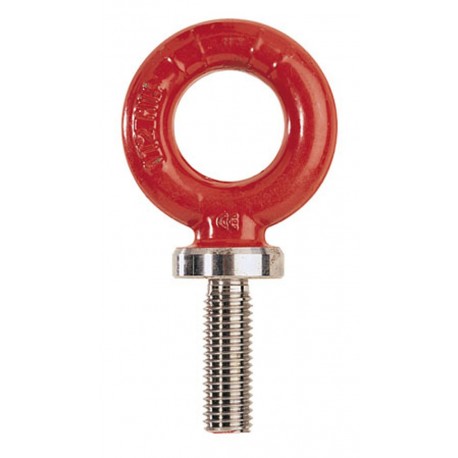 RGS Alloy steel eyebolts