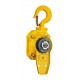 PT  Ratchet lever hoist 