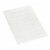 A10100 / Transparent stickers for VERTEX and ALVEO helmets PETZL
