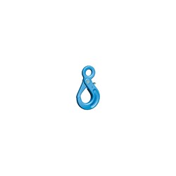 PEWAG LHWP Safety hook