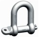 SSWI / PEWAG SSWI Safety shackle