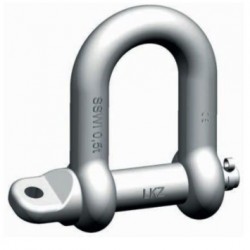 PEWAG SSWI Safety shackle