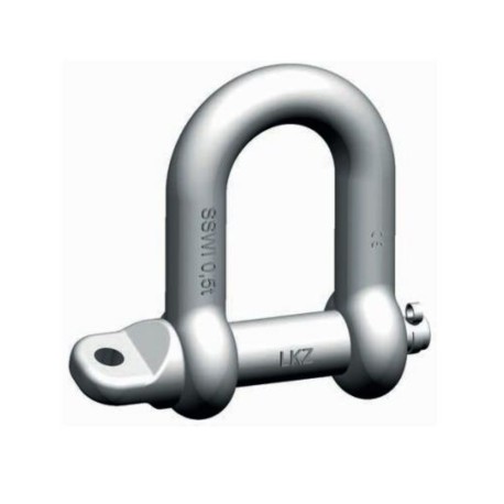 SSWI / PEWAG SSWI Safety shackle